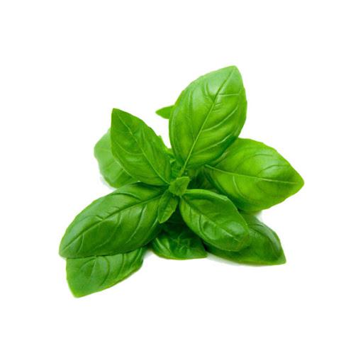 Buy Basil Leaves (100gm) Online at Best Price